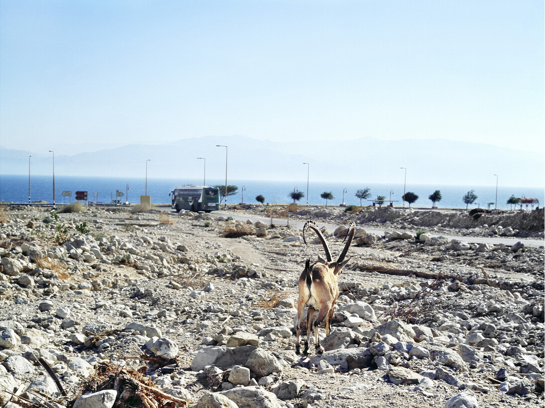 Benyamin Reich. o.T.(Israel), Fotografie 80 x 80 cm, Courtesy of artist and Voss Gallery