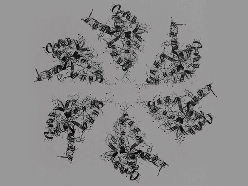 Eveline Kolijn y Christian Bök, Serigrafía de la proteína que vuelve radiorresistente a «Deinococcus radiodurans»