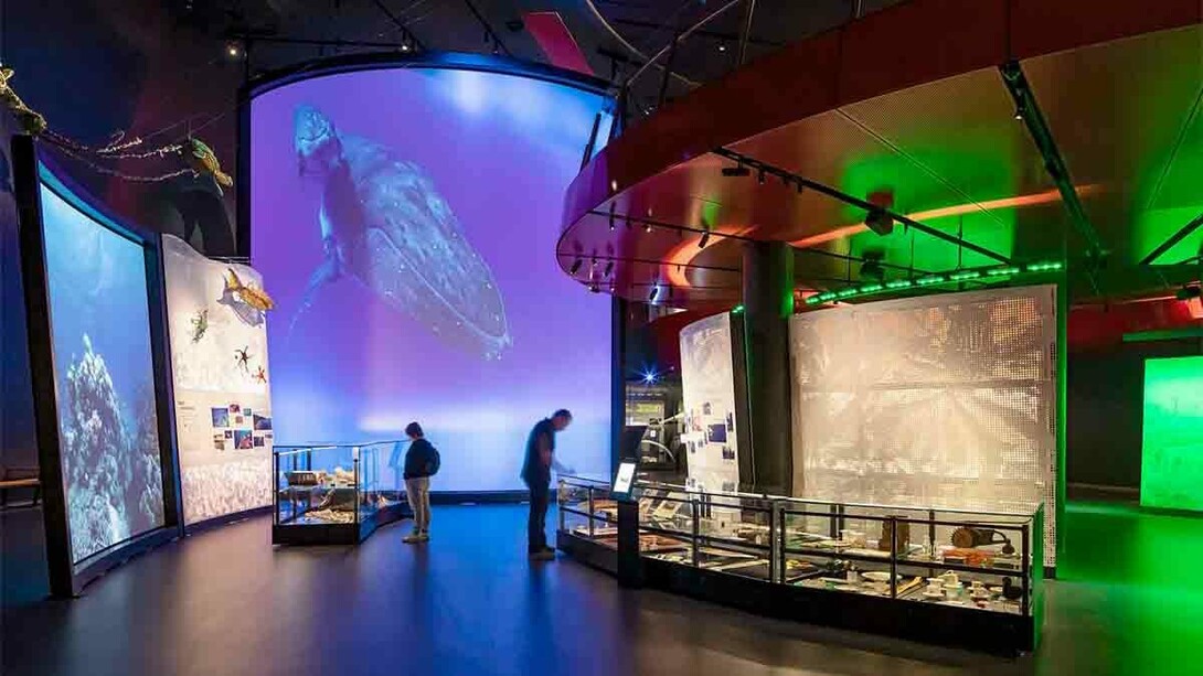 Great southern land, exhibition view. Courtesy of the National Museum of Australia