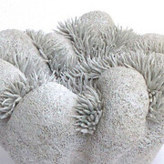 Galerie Esch-Sur-Alzette