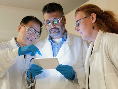 Scienziati che analizzano risultati di uno studio