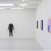 Alex Israel. Courtesy of Kunstraum Innsbruck