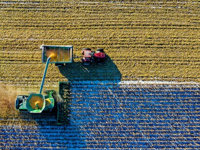 O Brasil e o Uruguai também estão colaborando em treinamento acadêmico e especializado. Isso inclui treinamento intensivo e especializado, como o curso de microscopia eletrônica de partícula única. Ele reuniu pesquisadores do Brasil, Uruguai, Argentina e Chile para trabalhar em biologia estrutural para o desenvolvimento de medicamentos e vacinas