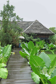 Walkways are constructed over rehabilitated paddy fields © Gehan de Silva Wijeyeratne