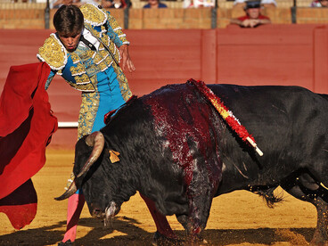 Matador Juan Leal executes a pase de pecho in a corrida in Seville, Spain, May 2013