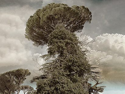 José Ramòn Ais, Alberi per strade, imperi e paradisi