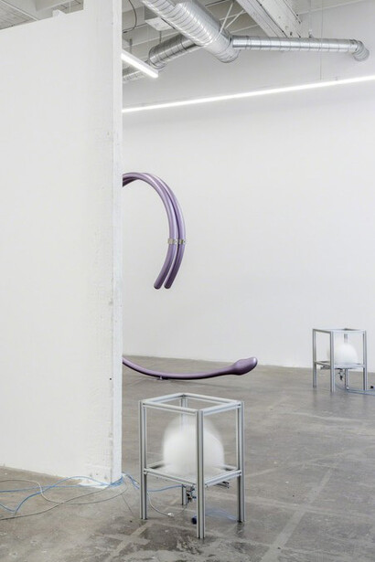 Maladapted. Courtesy of Baert Gallery