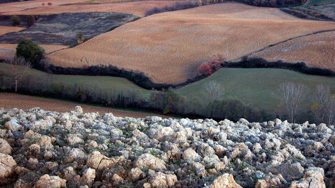 Lorenzo Bojola, “Linari”, 2003, fotografia digitale