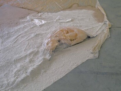 Karla Black. Expressions Are Hurting, Move Outside (and detail), 2008
