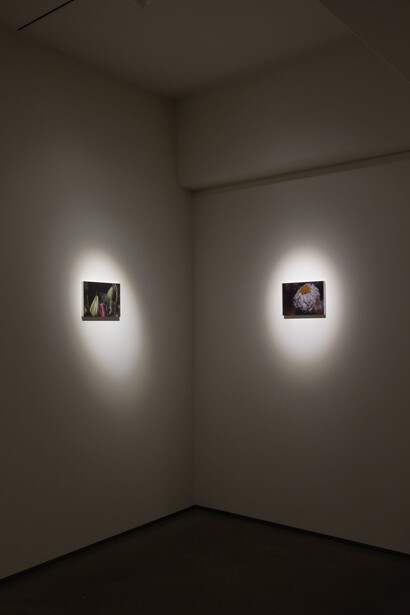 Arisa Kumagai, Heaven stolen, exhibition view. Courtesy of Gallery Koyanagi