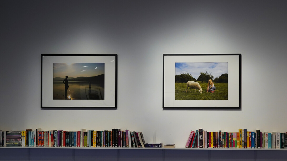 Jo Birdsell, By our nature, exhibition view. Courtesy of Galeria Labirynt