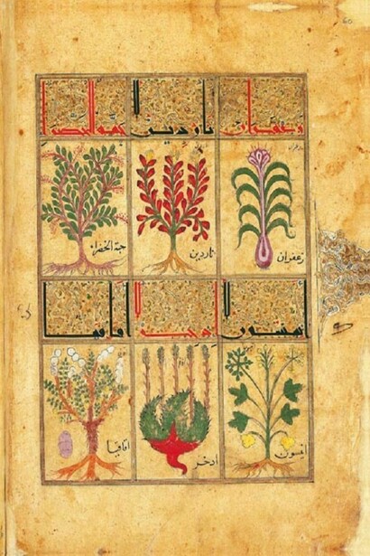 Illustration on The Book of Theriac conserved in Paris