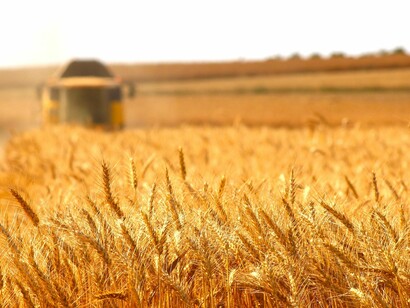 La expansión de la agricultura puede ser letal para la biodiversidad