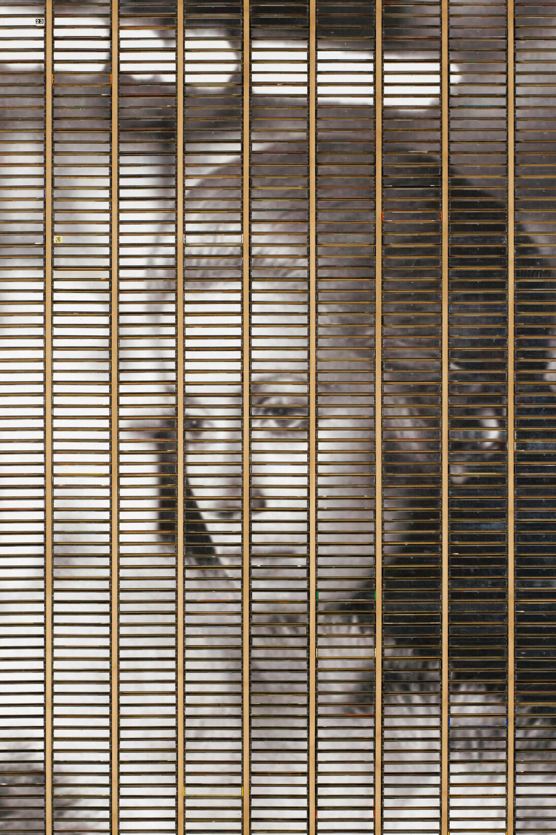 Gregor Hildebrandt, "La Chamade – Herzklopfen" / "La Chamade – Heartbeat" 2015, Tirage jet d'encre, boites en plastique dans une caisse en bois / Ink jet print, plastic boxes in wooden case
159 x 111 x 9 cm / 62 19/32 x 43 11/16 x 3 17/32 in, Courtesy of the artist and Galerie Perrotin