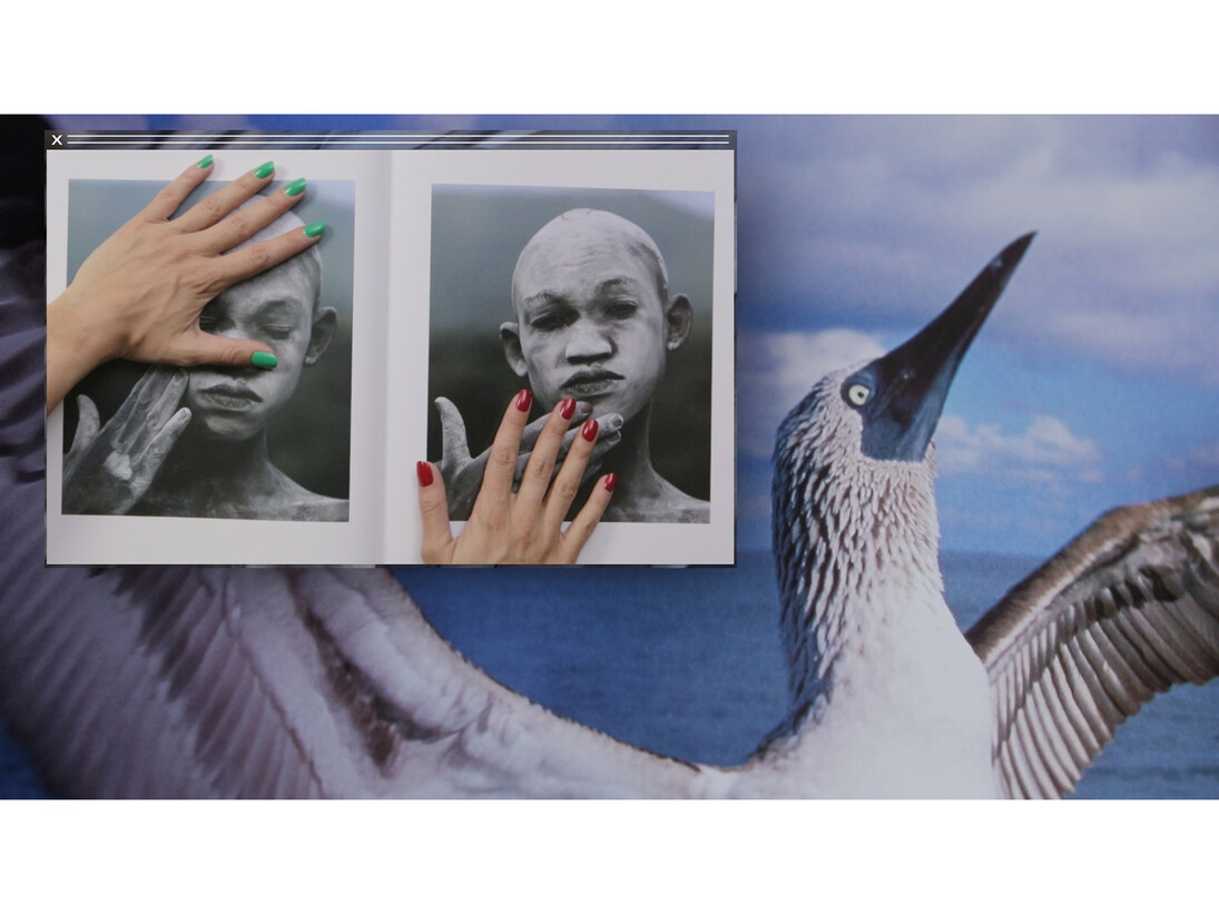 Camille Henrot, Gran fatiga, Great Tiredness, Grosse Fatigue, 2013, Vídeo, color, so, 13 min. Cortesia de l’artista, Silex Films i Kamel mennour, París
