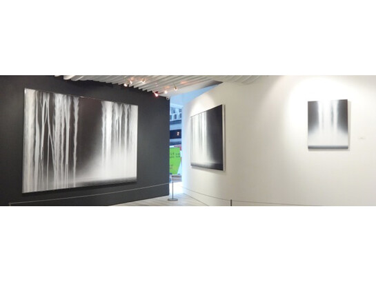 ‘Forces of Nature: Annie Leibovitz and Hiroshi
Senju’, Sundaram Tagore Gallery Hong Kong,
2015