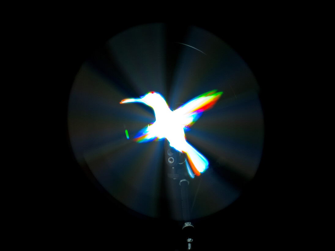 Beija-Flor (detalhe), 2013