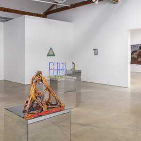 Alex Anderson, Shape of life, exhibition view. Courtesy of Make Room Gallery