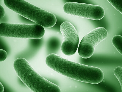 Negli ultimi anni, un numero crescente di studi sta scoprendo i segreti dell'enorme quantità di microrganismi che vive nell'intestino 