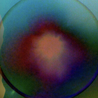 Sky Hopinka, Évanouissements, vue de l'exposition. Avec l'aimable autorisation du musée Guggenheim de Bilbao