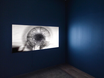 Jennifer & Kevin McCoy, ReLensing, exhibition view. Courtesy of bitforms gallery