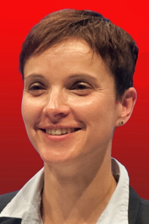 Nella foto Frauke Petry, al capo del partito dal 2015 al 2017, nel 2017 abbandona il partito a causa della linea troppo estremista intrapresa. Negli ultimi anni, l'AfD è diventato il principale partito di opposizione in alcune regioni dell'ex Germania dell'Est, beneficiando del malcontento per la globalizzazione e la crisi economica