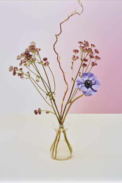 Soft Focus. Courtesy of Dallas Museum of Art