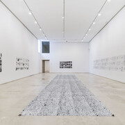 Juan del Junco, Ese gran trecho que -aún en vuelo- separa el secano de dos mares, vista de exhibición. Cortesía del Museo Patio Herreriano