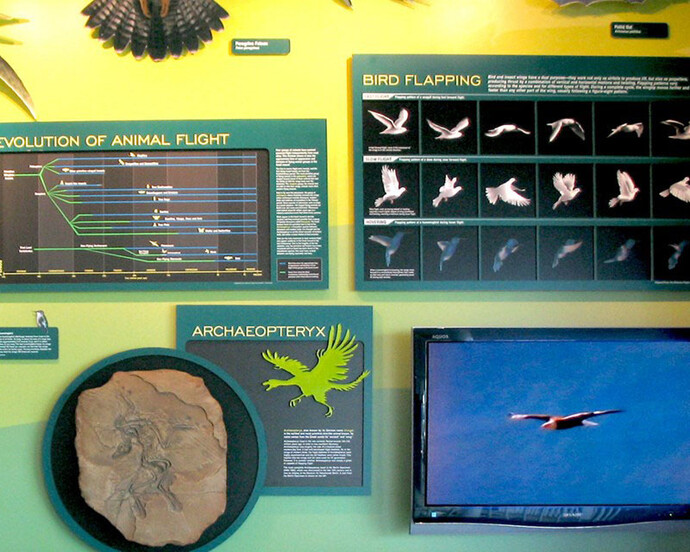 The Tower at Boeing Field. Courtesy of The Museum of Flight
