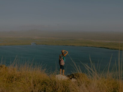 Viajante sem rosto contemplando o mar infinito da montanha de grama no nevoeiro