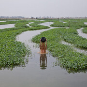The Darkened Mirror. Courtesy of San Jose Museum of Art
