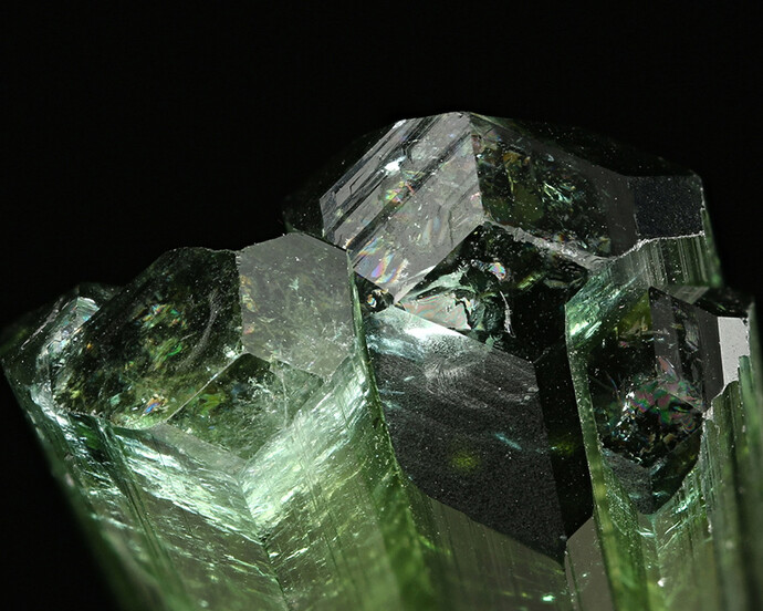 Gem and Mineral Hall. Courtesy of The Natural History Museum 