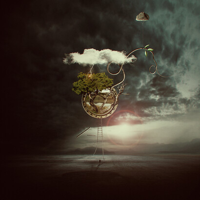 *The Nature's Delirium*