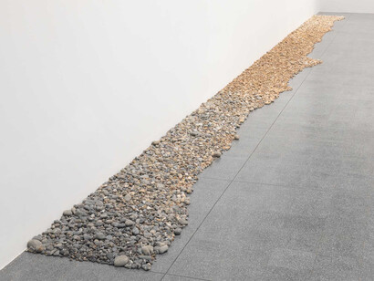 Amalia Pica, rock comb. Courtesy of Brighton CCA