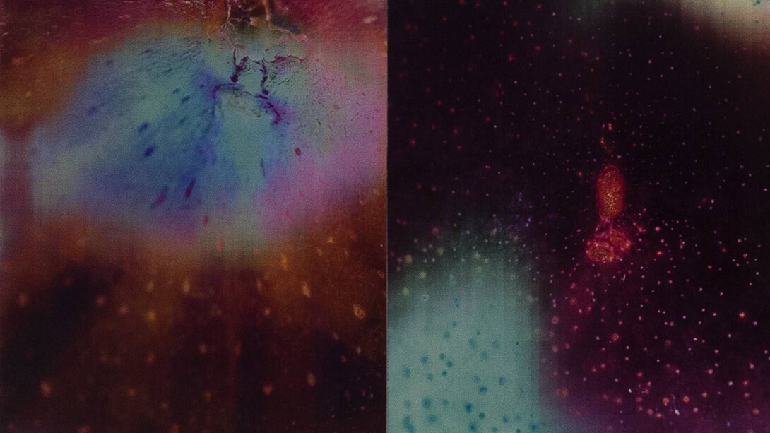 Jitish Kallat, Sightings D9M4Y2015, 2015, detail, Photographie lenticulaire en 7 panneaux, 68,5 x 320 cm, oeuvre et détails, Courtesy Galerie Daniel Templon, Paris. © Jitish Kallat