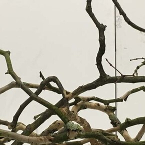 Fragmentation. Courtesy of The Coningsby Gallery