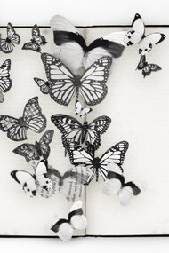Butterfly, credit Rich Hendry