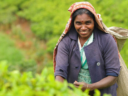 Recolectora de té en Sri Lanka