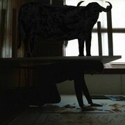 Louise Hopkins, Bull-Table Painting [2013] ink on photograph, 20.2 x 25.5 cm