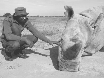 If catastrophic climate change is not avoided, most parts of the earth will become uninhabitable