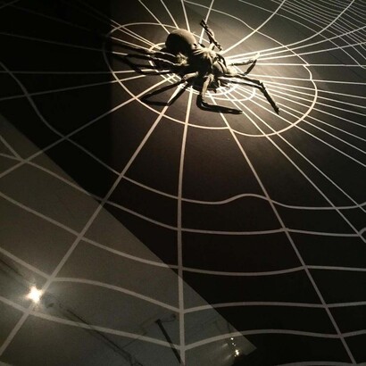 Spiders. Courtesy of ROM