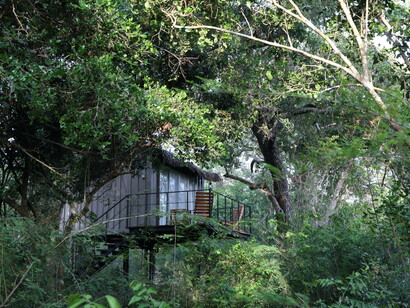 Chalets are inserted into forest at Backwaters Lodge © Gehan de Silva Wijeyeratne