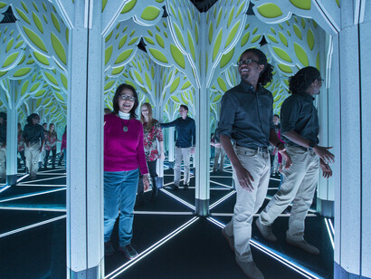 Numbers In Nature: A Mirror Maze. Courtesy of Museum of Science and Industry