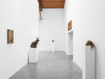 Dr. Lakra, Tupi o no Tupi, vista de la exposición. Cortesía de kurimanzutto