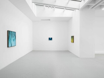 Xie Lei, Mort heureuse, vue de l'exposition. Avec la courtoisie de Semiose Gallery