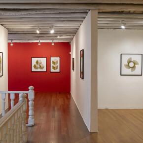 Esteban Peña Parga, Dibujos a lápiz, vista de exhibición. Cortesía de Galería Nueveochenta