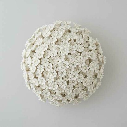 Daisy Wall Flower. Asimila e inspira en sus viajes a lugares cuyos jardines y botánica te inundan sintiéndote de otro mundo