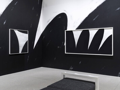 Christine Sun Kim, All day all night, exhibition view. Courtesy of Walker Art Center