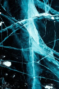 L'Amigdala è una piccola struttura del cervello situata nel lobo temporale e svolge un ruolo centrale nell'elaborazione delle emozioni