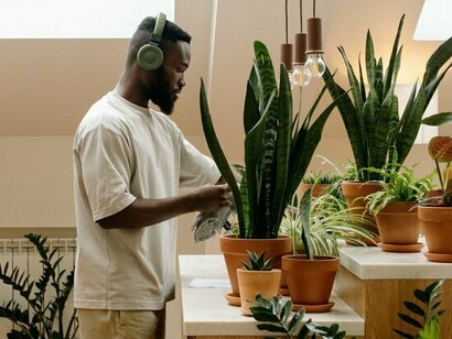 A person caring for indoor plants with attention and patience, representing the connection between plant care and personal wellness